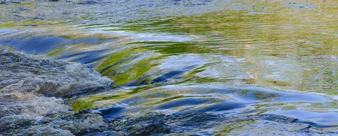 a photograph of water flowing in a river