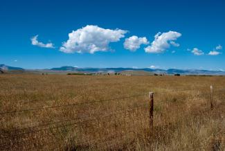 A landscape of flat land with puffy clouds