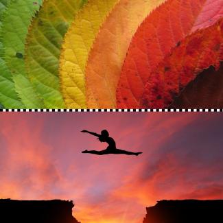 At the top, a photo of tree leaves as they change color, at the bottom, a photo of a person leaping across a chasm